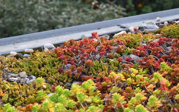the cost of Aspall green roof installation