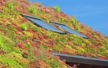 Aspall living roof systems