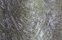 Aspall fibreglass roof work